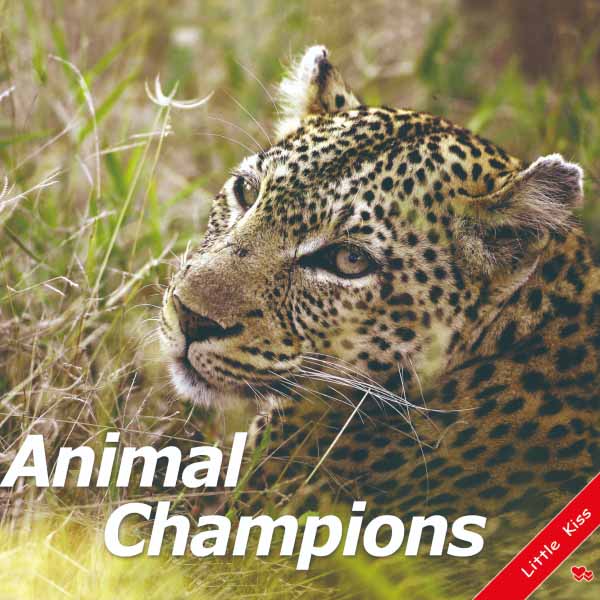 《Animal Champion》幼兒真實自然動物英語啟蒙書