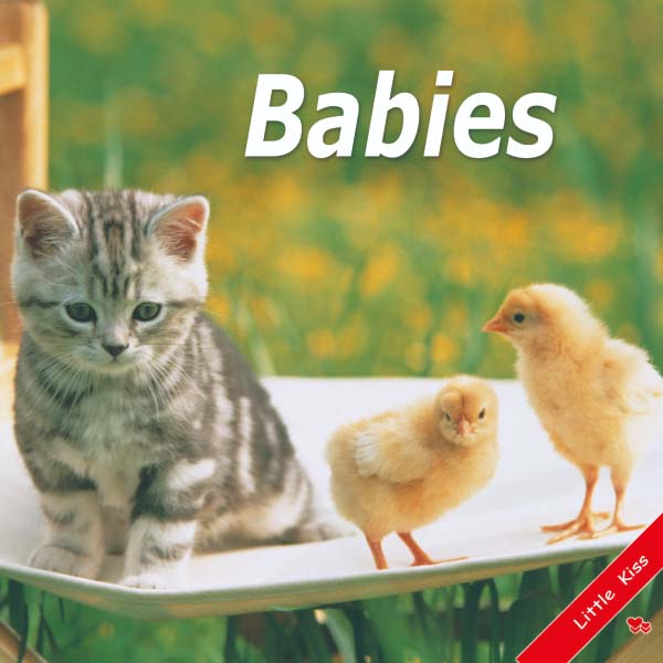 《Babies》幼兒真實動物圖片英語學習書