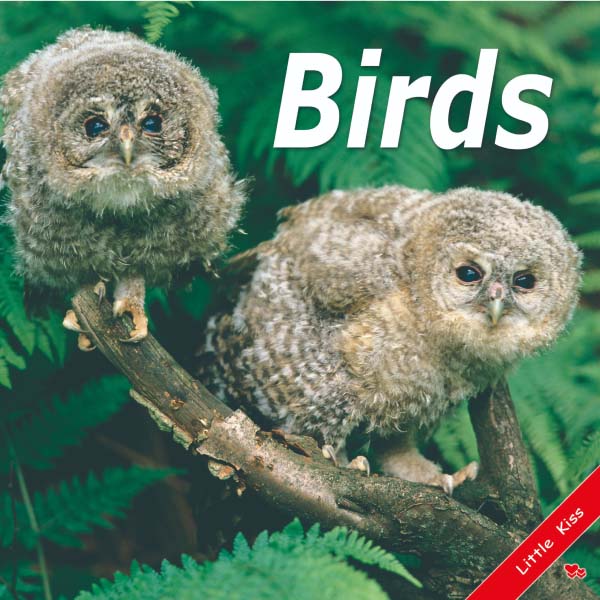 《Birds》幼兒真實鳥類英語學習書