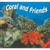 Coral And Friends