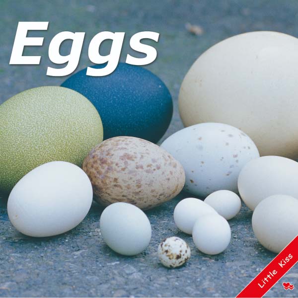 《Eggs》幼兒真實動物英語啟蒙書