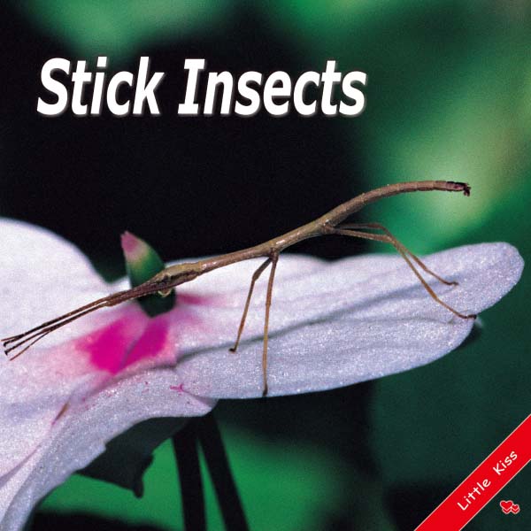 《Stick Insects》幼兒自然英語啟蒙書