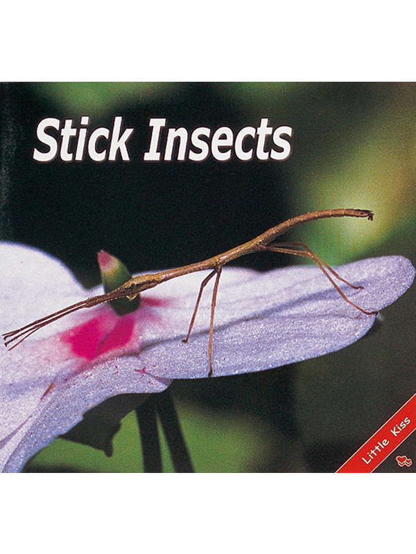 Stick Insects