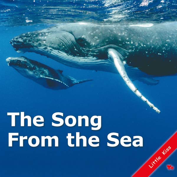 《The Song From The Sea》幼兒真實海洋英語啟蒙書