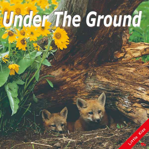 《Under The Ground》幼兒真實自然英語啟蒙書