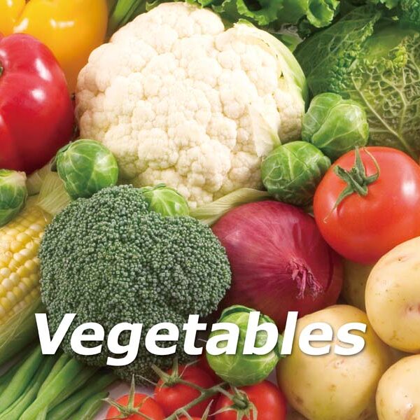 《Vegetables》精裝本｜幼兒真實蔬菜英語啟蒙書