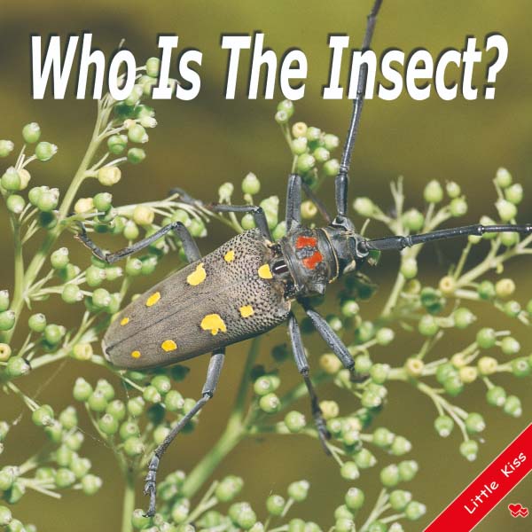 《Who Is The Insect?》幼兒自然英語啟蒙書