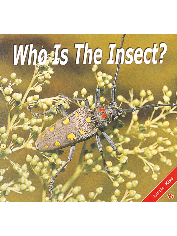 Who Is The Insect?