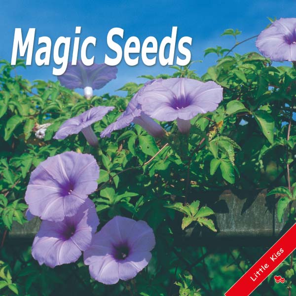 《Magic Seeds》幼兒真實種子生長英語啟蒙書