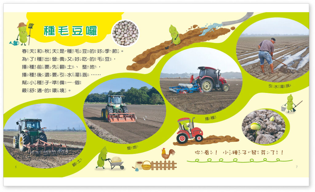 毛豆 食農教育