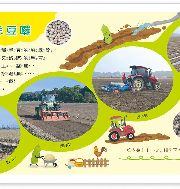 毛豆 食農教育