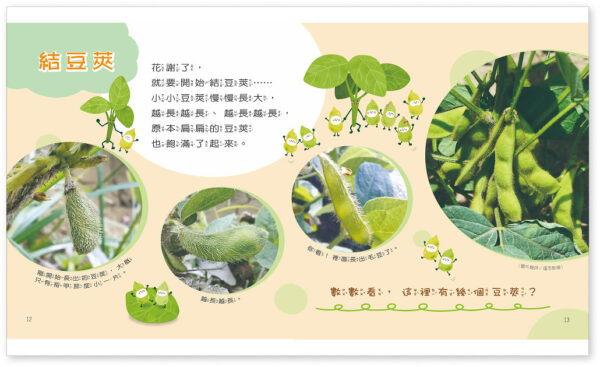 毛豆 食農教育