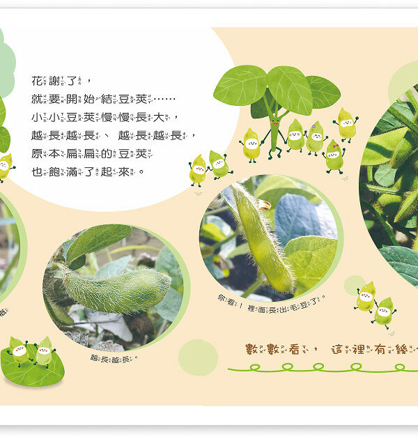 毛豆 食農教育