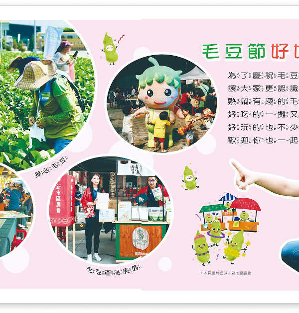 毛豆 食農教育