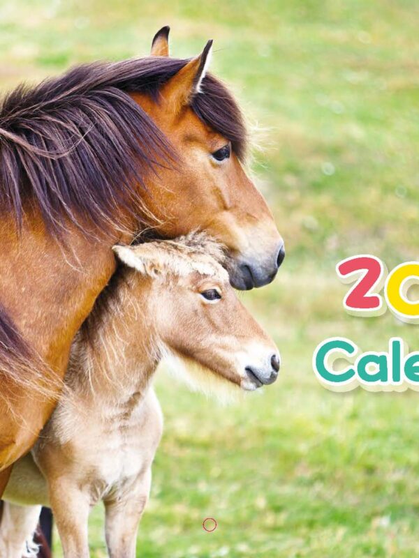 2026年曆 Chill小馬🐎✨