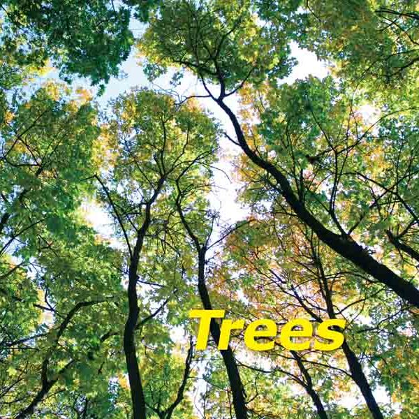 《Trees》精裝本｜幼兒真實圖片英語啟蒙書